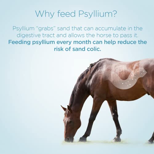 Psyllium Pellets for Horses (12 lb)