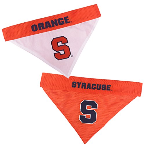 Collegiate Pet Accessories (Small/Medium / Syracuse Orange)