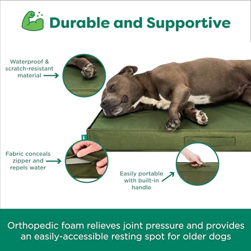 Cooling Dog Bed (Jumbo Plus / Green)