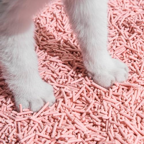 Tofu Cat Litter Natural Clumping Tofu Cat Litter (3 Pack / Peach)