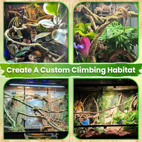 10FT Reptile Vines for Climbing (Green Reptile Vine - 10 Feet)