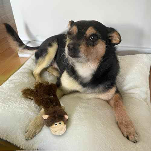2-in-1 Stuffless Squeaky Dog Toy - Monkey, Large (Brown Monkey / Large)