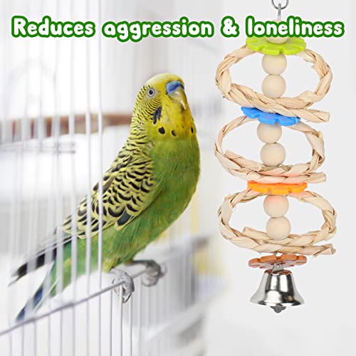 7 Pack Bird & Parrot Toys