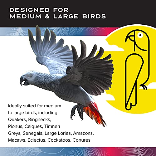Bird Toy for Medium to Large Birds (Medium)