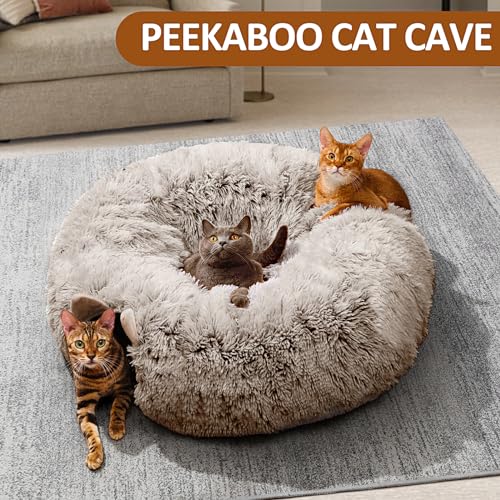 Cat Tunnel with Cat Bed for Indoor Cats (BROWN)