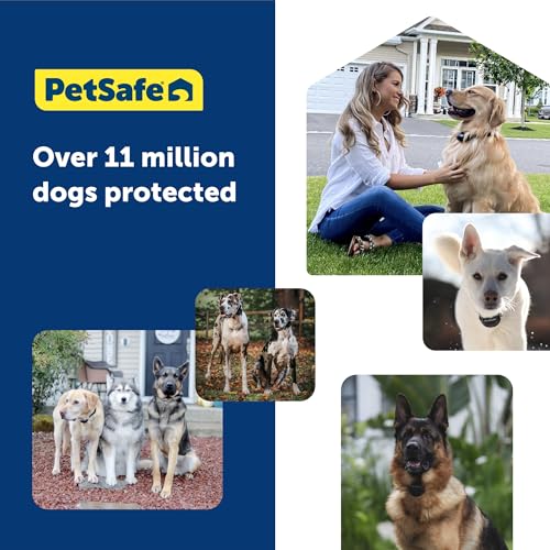 Guardian GPS + Tracking Dog Fence Collar Bundle with Additional (Guardian GPS Fence Collar + Grey Strap)