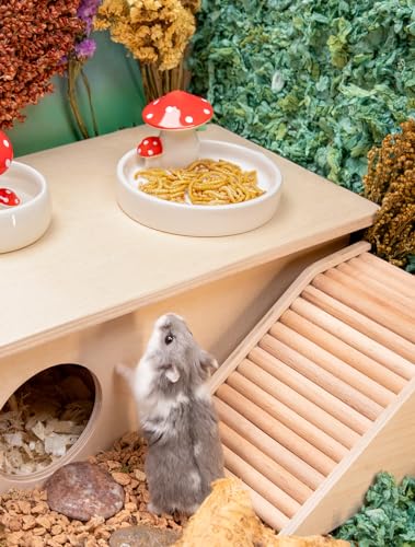Small Animal Snack & Treats