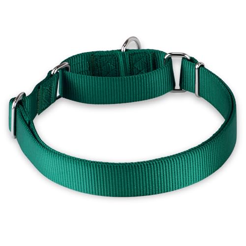 Martingale Collar for Dogs (XL / Dark Green)