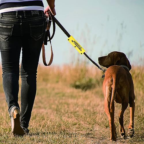 Funny Dog Leash Sleeve Have Anxious In Training Dog Leash Wrap Sleeve Pet Birthday Gift (Anxious In Training-YE Sleeve)