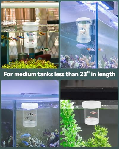 Breeder Box for Fish Tank (Medium)