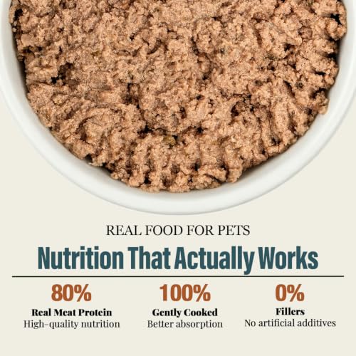Wet Cat Food Variety Pack