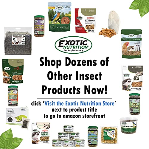 1.5 Pound Dried Crickets