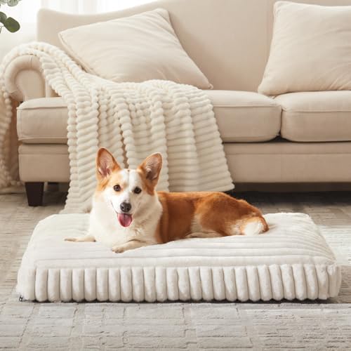 Dog Beds Large Sized Dog (Cream / L(35"x23"x4"))