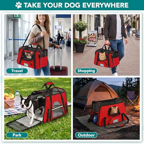 Airline Approved Pet Carrier for Cats & Small Dogs (Red / 19.5"L x 10.2"W x 12.0"H)