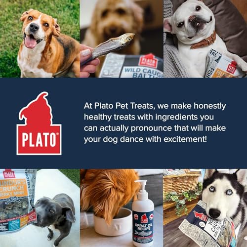 Pet Treats Fish Dog Treats