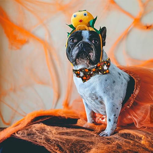 Fall Dog Collars Bow (Mushroom Ghost / Small (Pack of 1))