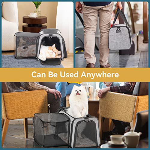 Cat Carrier Airline Approved