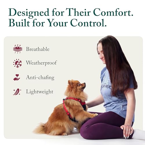 No Pull Dog Harness (Small / Red)