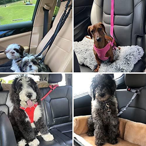 2 Pack Dog Seat Belt for Car (Blue)