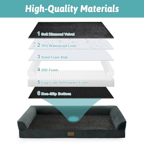 Orthopedic Dog Bed for Medium Small Size Dogs (Black / M:30x20x6.5 inch)
