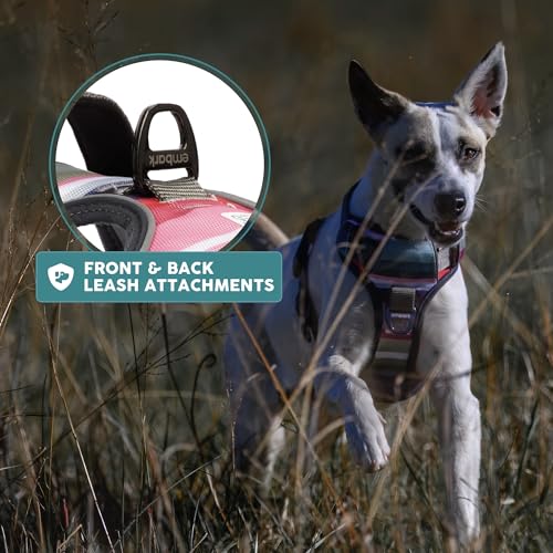 Embark No Pull Dog Harness (S / Baja)