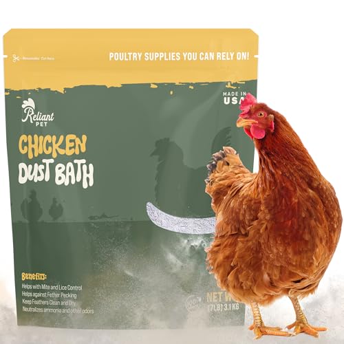 Chicken Dust Bath