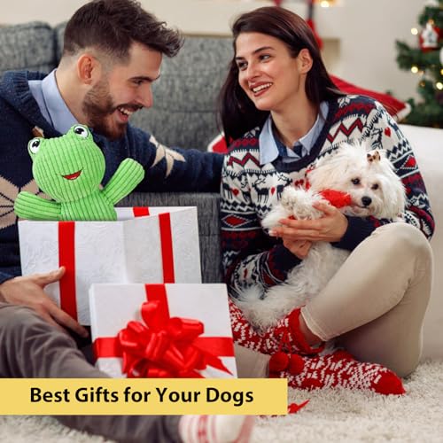 Dog Squeak Toys Durable Plush Dog Toy with Crinkle Paper (Big-faced frog)