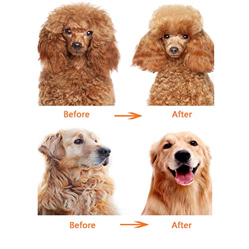 Long Hair Dog or Cat Comb Grooming with Short and Long Teeth Dematting Knots Tangles Remover Combs Detangler Tool Suitable for Dogs Cats Poodle HorseStainless Steel Pin (Blue)