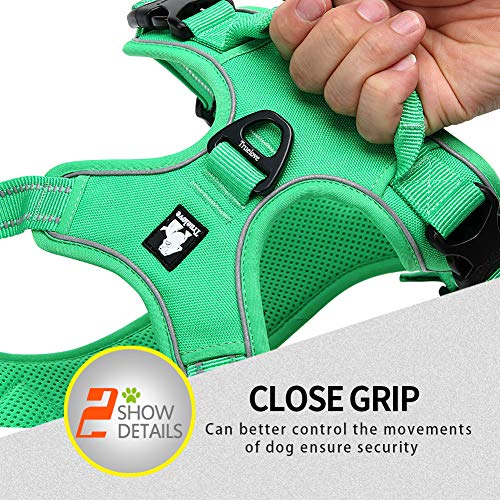 Truelove No Pull Dog Harness with Easy Control Handle and 2 Leash Attachments (X-Small / Grass Green)