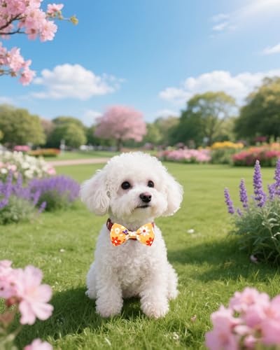 10 Pack Floral Dog Bowties for Small Dogs Sliding on Collar (S/M)