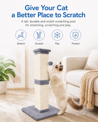 Cat Scratching Post for Indoor Cats (Light Gray)