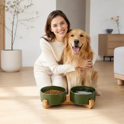 Ceramic Dog Cat Bowl Set with Stand (Rust Green / 850ML*2)