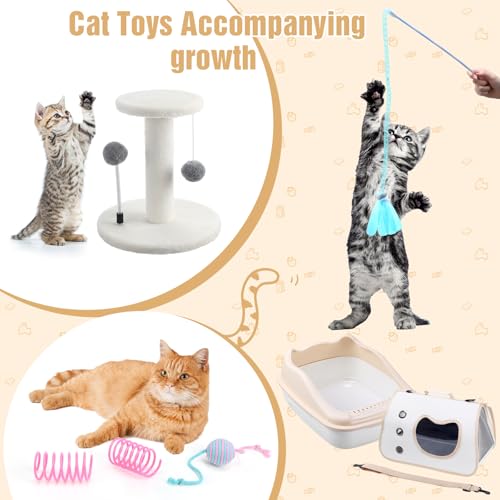 10 Pcs Kitten Starter Kit for Indoor (Classic / Small / White)