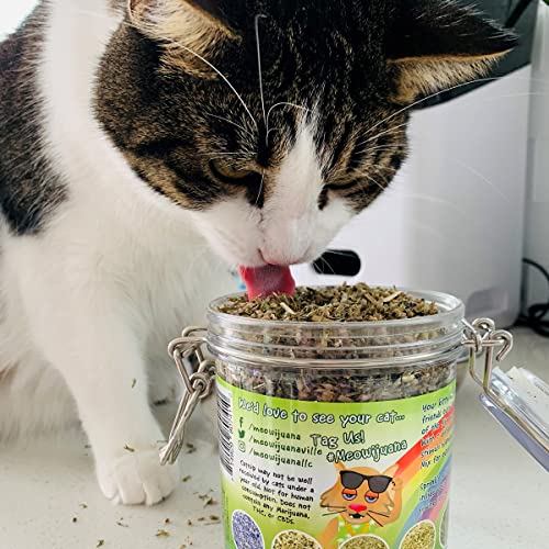 Catnibas Pawty Mix with Lemongrass