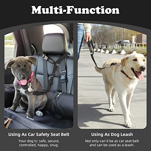 Dog Seat Belt for Car (Black)
