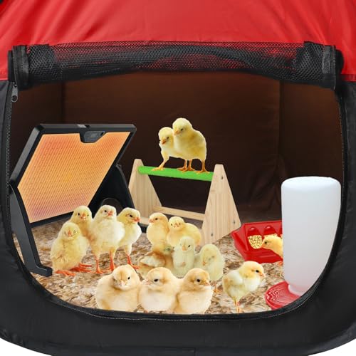 Chicken Brooder Box for Chick Starter Kit