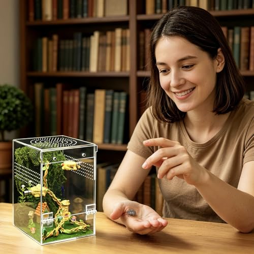 Jumping Spider Enclosure Starter Kit (Green / Large)