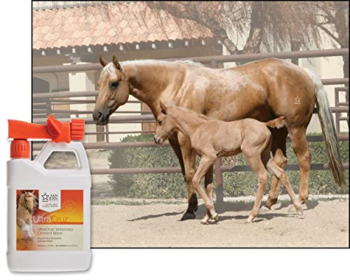 Veterinary Liniment Wash for Horses