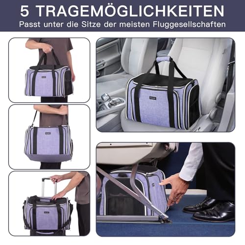 Cat Carrier Bag (Purple / 17.5"L x 12.0"W x 11.5"H)