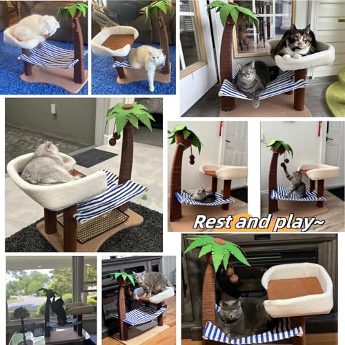 Cat Scratching Post w (23.6" x 16.5" x 29.5β)