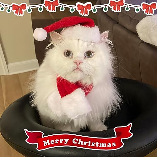 Cat Christmas Costume (Xmas Costume)