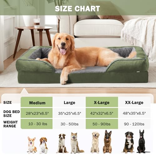 Orthopedic Dog Bed for Large Dogs (Green / L (35"x 25"x 6.5"))
