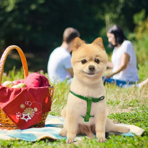 No Pull Dog Harness Small Sized Step (Blackish Green / Small)