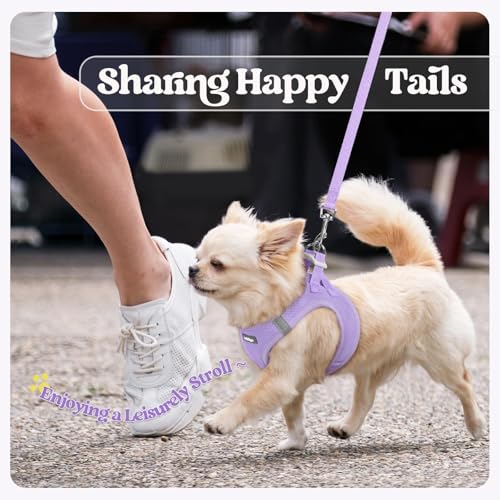Dog Harness Medium Sized and Leash Set (Light Purple / Xxl (chest: 21.6 - 23.7"))