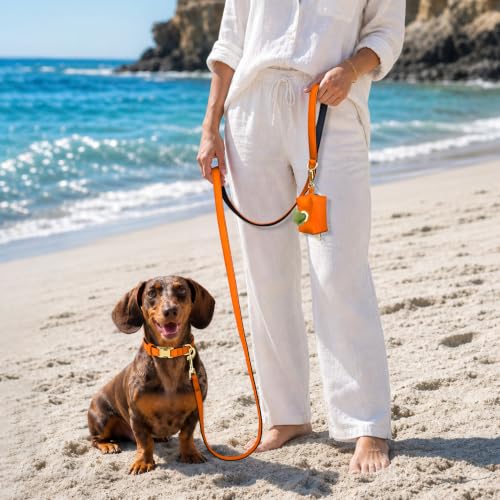 Soft Padded Dog Collar for Small Dogs (Orange / S:Fit 10-15" Neck, Width ⅝")