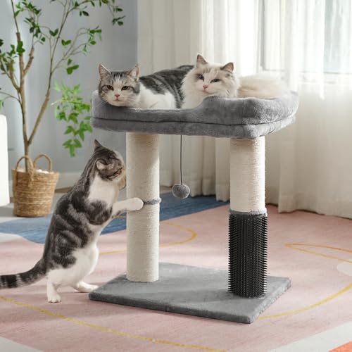 Cat Tree Tower for Large Cats Cat Scratching Post with Bed 20X16” (Large / Gray)