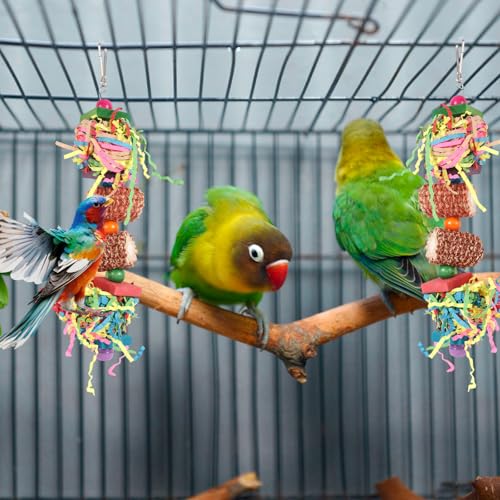 2pcs Bird Toys