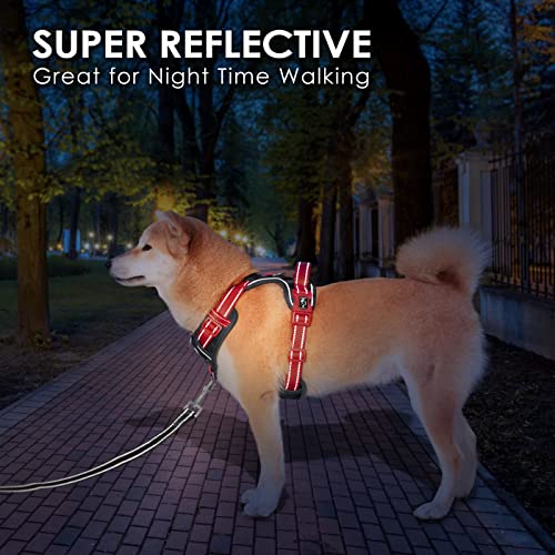 No Pull Dog Harness (Black Base & Red Straps / Small)