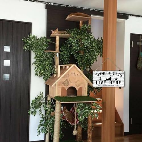 Spoiled Cats & Staff Welcome Sign (008)