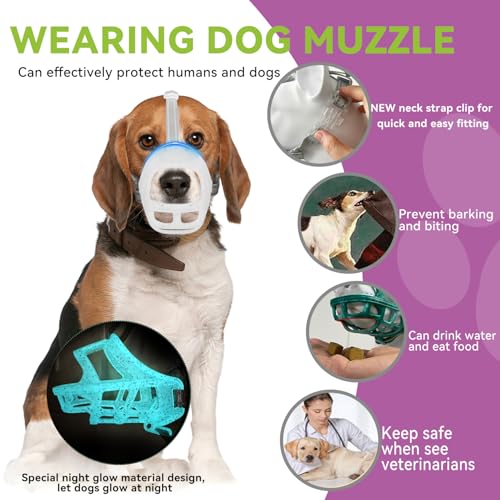 Glow-in-The-Dark Dog Muzzle, Basket Muzzle for Small Medium Large Dogs,Anti-Biting Chewing, Lightweight Cage Design,Allows Drinking & Panting,for Grooming & Training(Transparent Size XL) (Size XL Sout(11.42"-13.78"))
